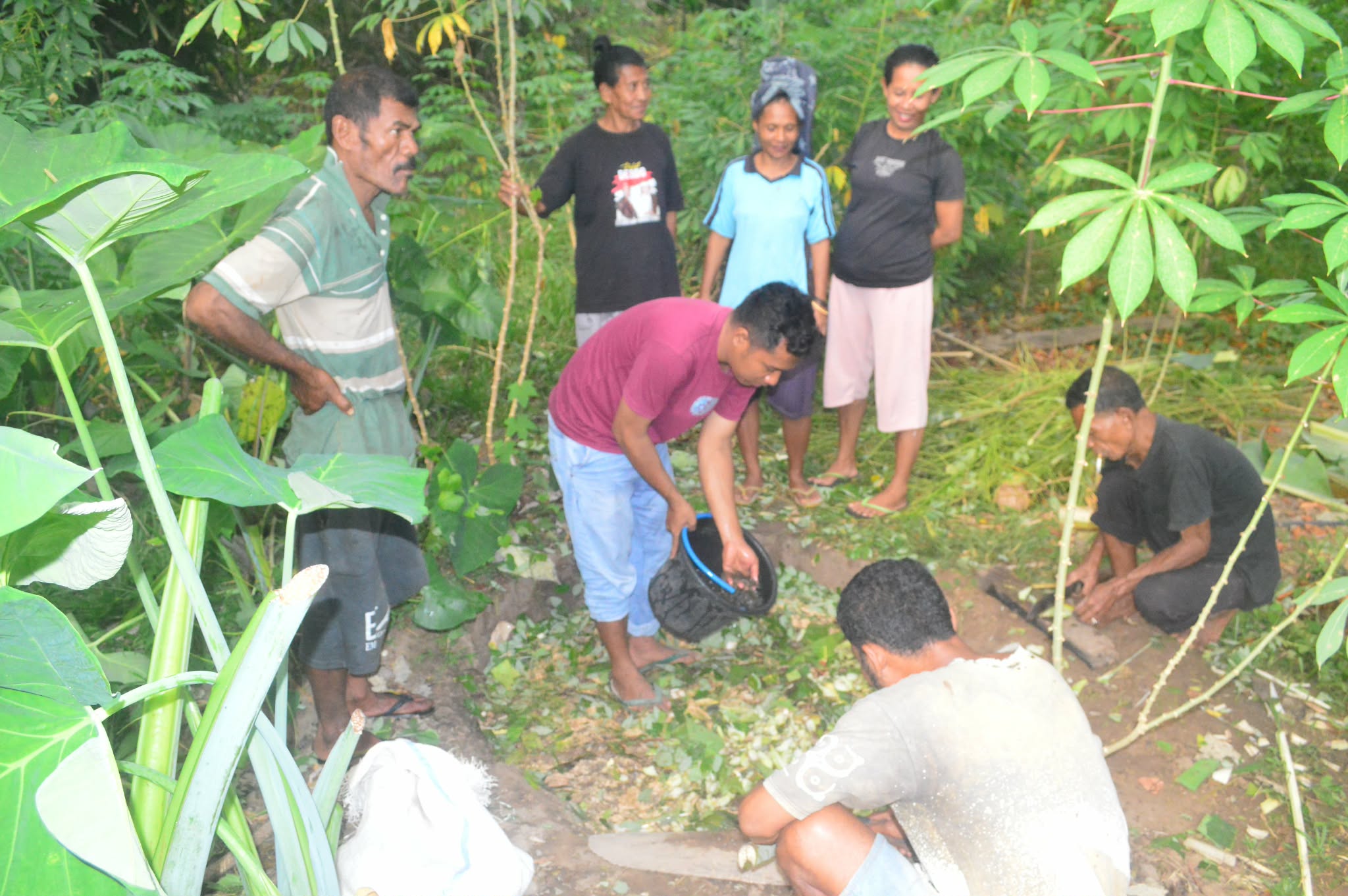 Kembangkan Pertanian Organik, Yayasan Tananua Flores Dampingi Poktan Kotaboba Kobaleba